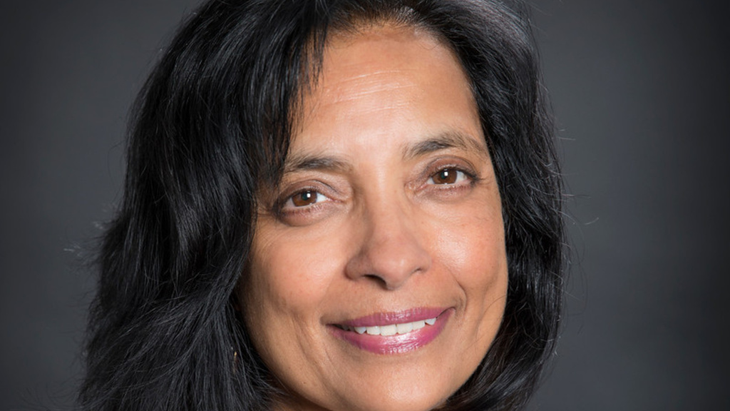 Meenakshi Gigi Durham